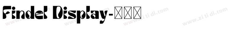 Findel Display字体转换